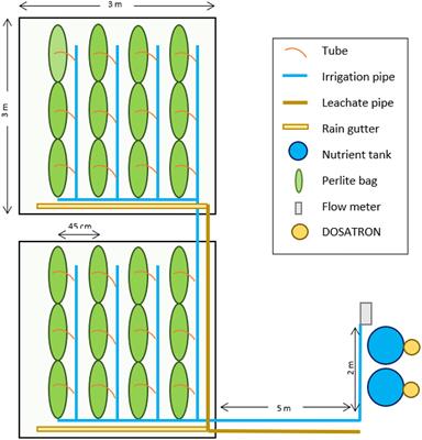 Agronomic and Environmental Assessment of a Polyculture Rooftop <mark class="highlighted">Soilless</mark> Urban Home Garden in a Mediterranean City
